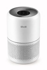 Air purifier for large room